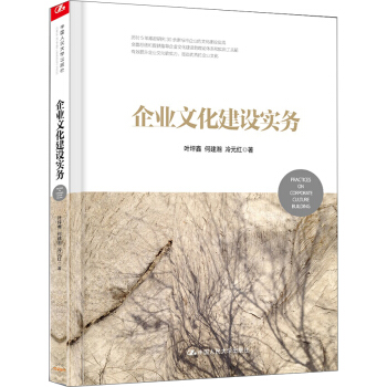 企业文化建设实务 pdf epub mobi 下载