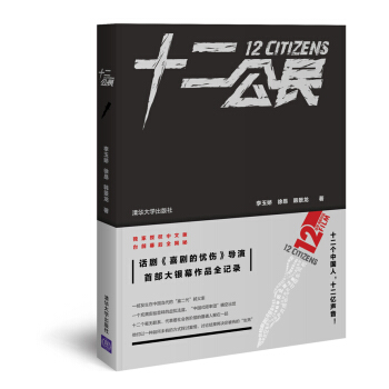 十二公民 pdf epub mobi 电子书 下载