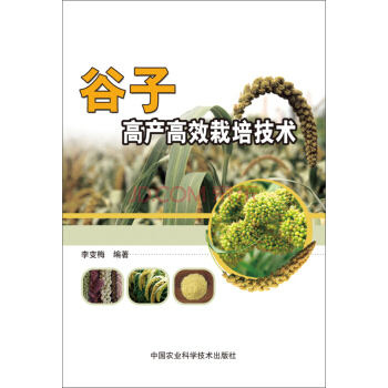 谷子高产高效栽培技术 pdf epub mobi 下载