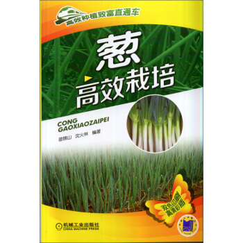 高效种植致富直通车：葱高效栽培 pdf epub mobi 下载