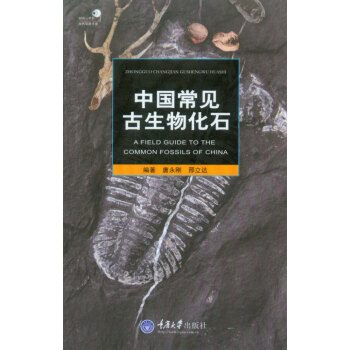 中国常见古生物化石 pdf epub mobi 下载