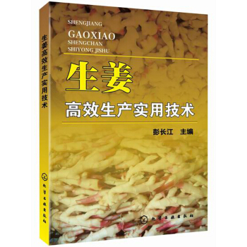 生薑高效生産實用技術 pdf epub mobi 下载