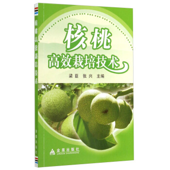 核桃高效栽培技術 pdf epub mobi 下载