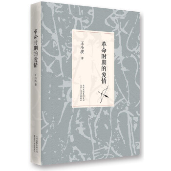 王小波：革命时期的爱情（2014版） pdf epub mobi 下载
