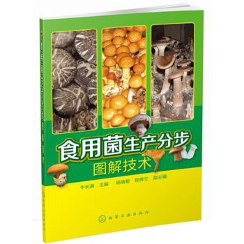 食用菌生产分步图解技术 pdf epub mobi 下载
