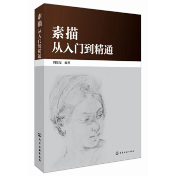 素描從入門到精通 pdf epub mobi 下载