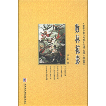 《数学中的小问题大定理》丛书（第六辑）：数林掠影 pdf epub mobi 下载