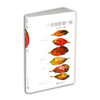 一生里的某一刻 pdf epub mobi 下载