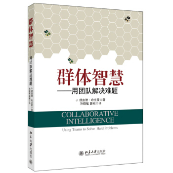 群體智慧：用團隊解決難題 pdf epub mobi 下载