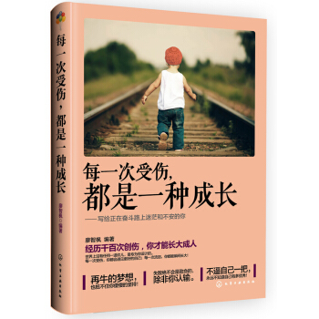 每一次受伤，都是一种成长 pdf epub mobi 下载