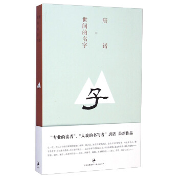 世間的名字 pdf epub mobi 電子書 下載