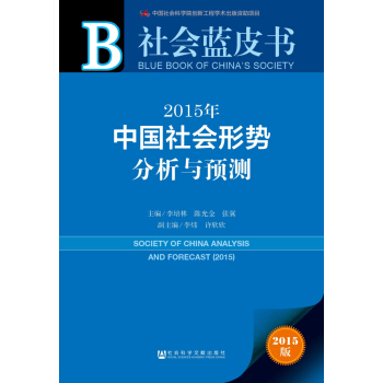 社会蓝皮书：2015年中国社会形势分析与预测 pdf epub mobi 下载