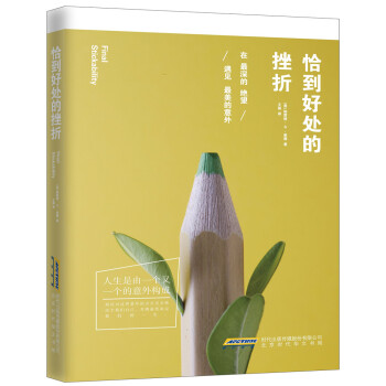 恰到好处的挫折 在最深的绝望，遇见最美的意外 pdf epub mobi 下载