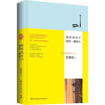 我希望有个如你一般的人 pdf epub mobi 下载