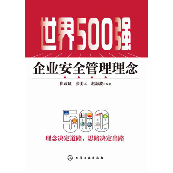 世界500強企業安全管理理念 pdf epub mobi 下载