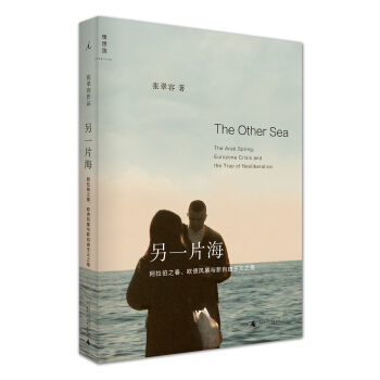 另一片海 阿拉伯之春、欧债风暴与新自由主义之殇 pdf epub mobi 下载