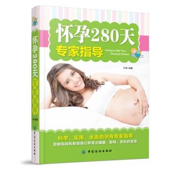 怀孕280天专家指导 pdf epub mobi 下载