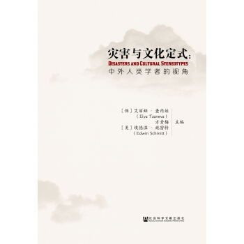 災害與文化定式：中外人類學者的視角 pdf epub mobi 下载
