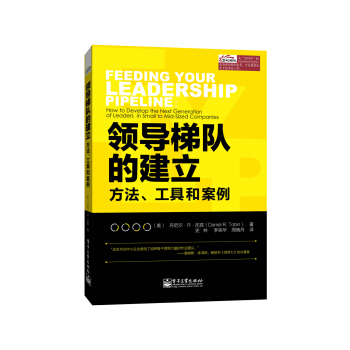 领导梯队的建立：方法、工具和案例 pdf epub mobi 下载