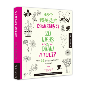 45个精美花卉的涂鸦练习 pdf epub mobi 下载