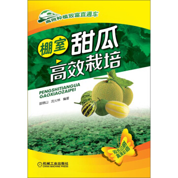 高效种植致富直通车：棚室甜瓜高效栽培 pdf epub mobi 电子书 下载