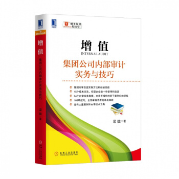 正版現貨 增值：集團公司內部審計實務與技巧 審計書/審計學/內部審計/會計入門/審計入門 pdf epub mobi 下载