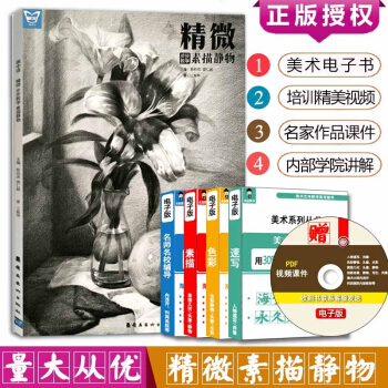 畫中話係列步步教學精微素描靜物基礎知識單體靜物水果器皿等步驟解析組閤範畫賞析美術高藝考書 默認 pdf epub mobi 下载