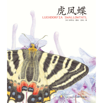 馆野鸿科学绘本·虎凤蝶（平装） [7-10岁] pdf epub mobi 下载