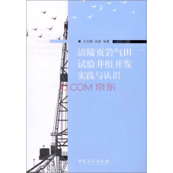 涪陵頁岩氣田實驗井組開發實踐與認識 pdf epub mobi 電子書 下載