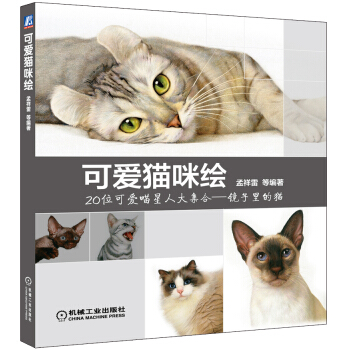 可爱猫咪绘 pdf epub mobi 下载
