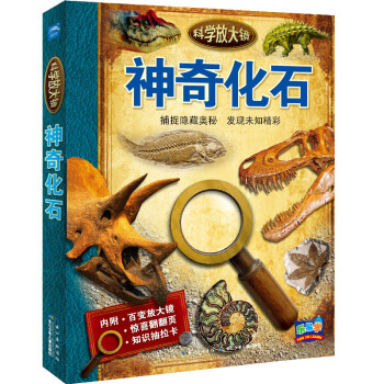 科学放大镜：神奇化石 [7-10岁] pdf epub mobi 下载