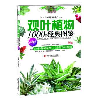 观叶植物1000种经典图鉴（终极版） pdf epub mobi 下载