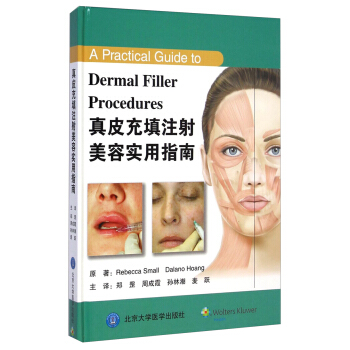 真皮充填注射美容實用指南 [A Practical Guide to Dermal Filler Procedures] pdf epub mobi 下载