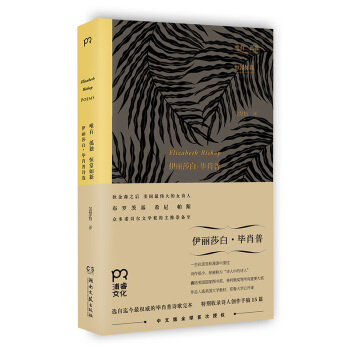 唯有孤独恒常如新 pdf epub mobi 电子书 下载