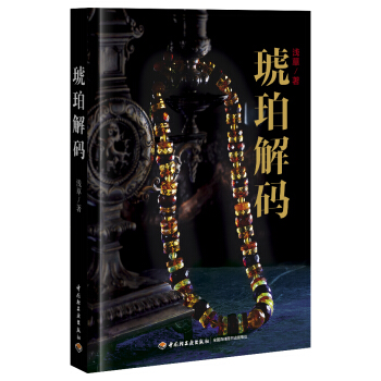 琥珀解码 pdf epub mobi 下载