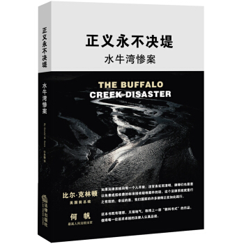 正義永不決堤：水牛灣慘案 pdf epub mobi 下载