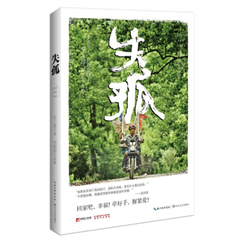 失孤 pdf epub mobi 下载