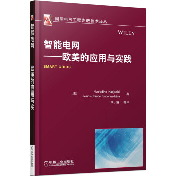 國際電氣工程先進技術譯叢·智能電網：歐美的應用與實踐 pdf epub mobi 下载