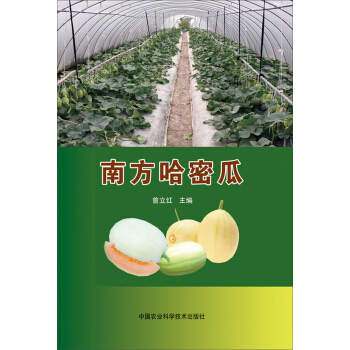 南方哈密瓜 pdf epub mobi 电子书 下载