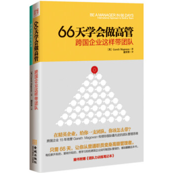 66天学会做高管：跨国企业这样带团队 pdf epub mobi 下载