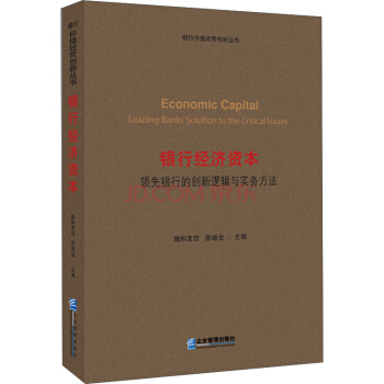 銀行經濟資本：領先銀行的創新邏輯與實務方法 [Economic Capital Leading Banks Solution to the Critical Issues] pdf epub mobi 下载