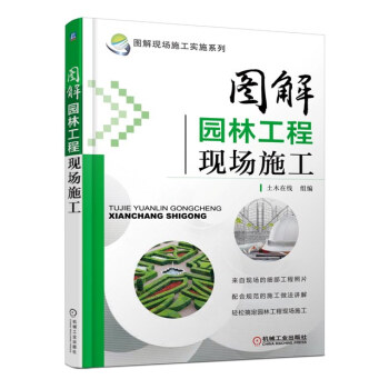 图解现场施工实施系列：图解园林工程现场施工 pdf epub mobi 下载