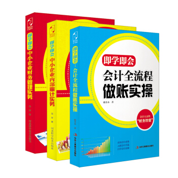 新手会计“即学即会”：中小企业财务管理实务+中小企业内部审计实务+会计全流程做账实操（套装共3册） pdf epub mobi 电子书 下载