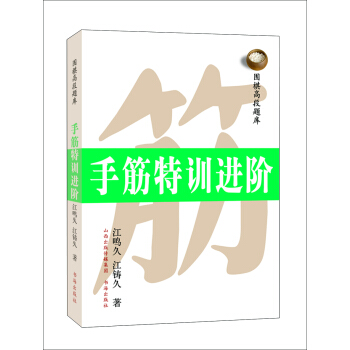手筋特训进阶 pdf epub mobi 下载