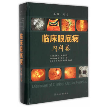 临床眼底病.内科卷 pdf epub mobi 下载