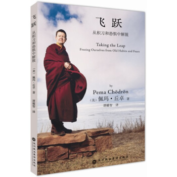 飛躍：從積習和恐懼中解脫 pdf epub mobi 下载