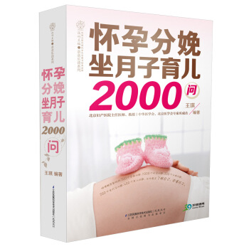 怀孕分娩坐月子育儿2000问 pdf epub mobi 下载