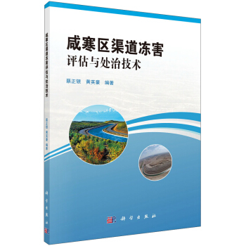 鹹寒區渠道凍害評估與處治技術 pdf epub mobi 下载