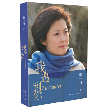 我遇到你 pdf epub mobi 下载