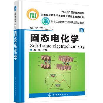 电化学丛书--固态电化学 杨勇